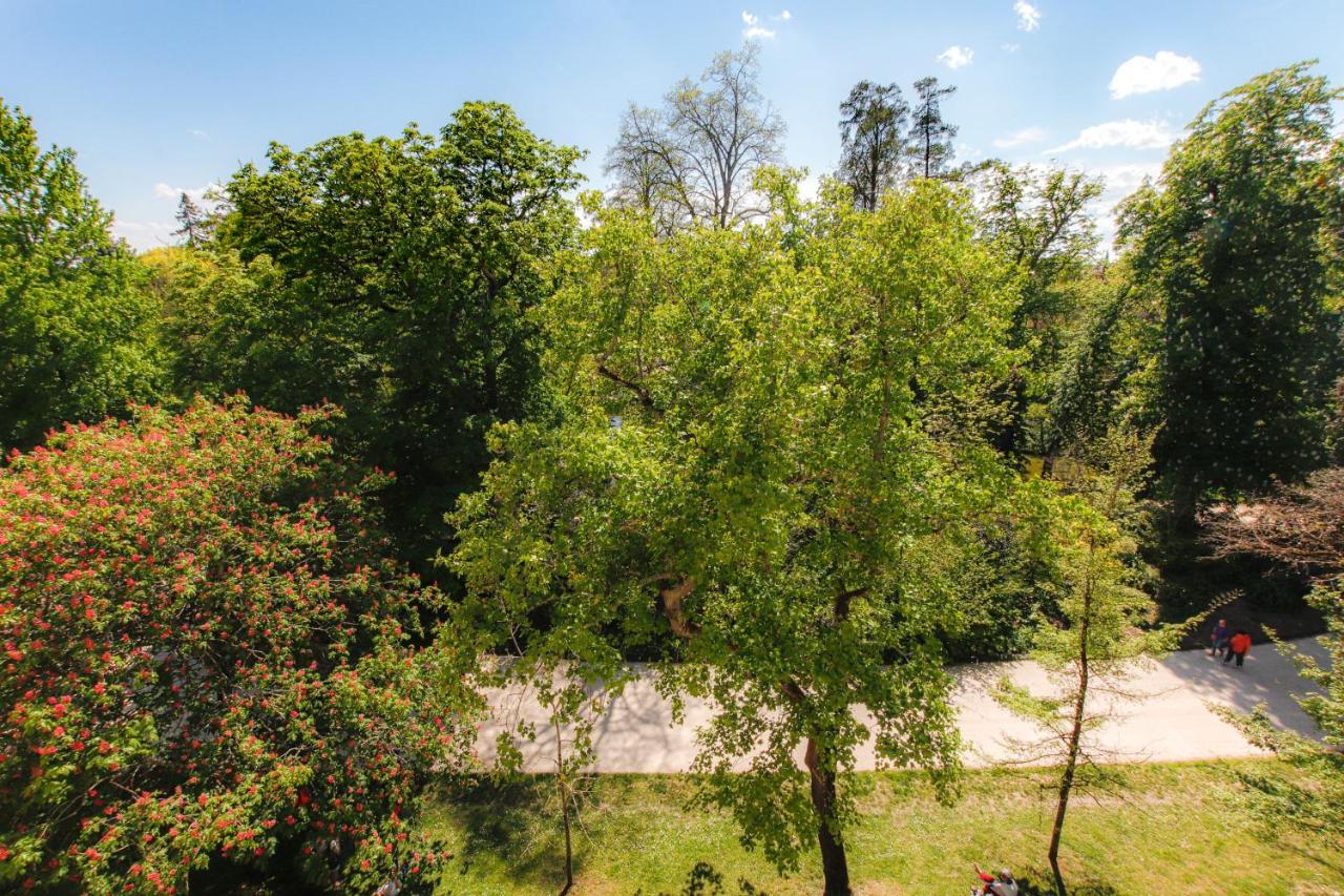 Maison Labruyere Bordeaux - Jardin Public Εξωτερικό φωτογραφία